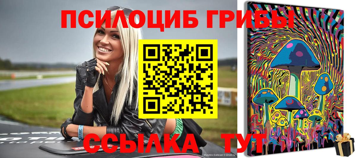 Галлюциногенные грибы Magic Shrooms Сальск